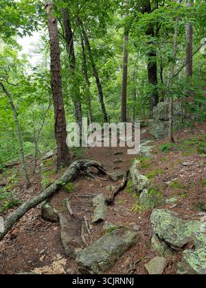 Hawn State Park, ubicazione: Ste. Genevieve, MO Foto Stock