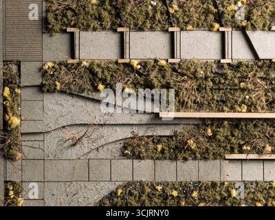 Jubilee Wellness Center Model, posizione: St. Louis, Missouri, architetto paesaggista: Arbolope Studio Foto Stock