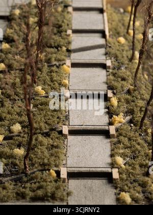 Jubilee Wellness Center Model, posizione: St. Louis, Missouri, architetto paesaggista: Arbolope Studio Foto Stock