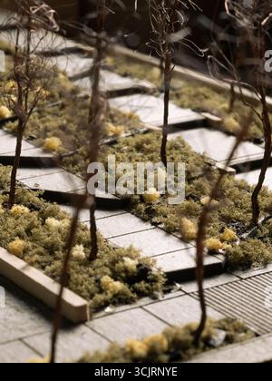 Jubilee Wellness Center Model, posizione: St. Louis, Missouri, architetto paesaggista: Arbolope Studio Foto Stock