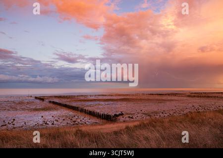 Tempesta di tuoni e fulmini Cudmore Grove, Mersea Island, Essex Foto Stock