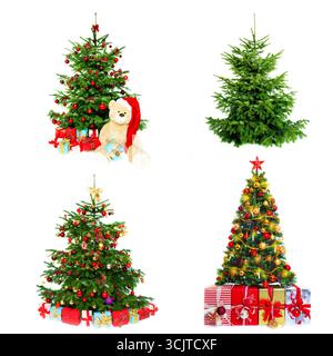 Abete Nordman (Abies nordmanniana), collage di quattro alberi di Natale con regali di Natale Foto Stock