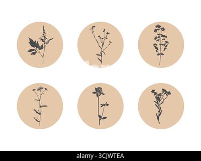 Badge floreale con silhouette di piante stampate all'interno di cerchi circolari. Ideale per adesivi, marchi ecologici e confezioni minime. Illustrazione vettoriale Illustrazione Vettoriale
