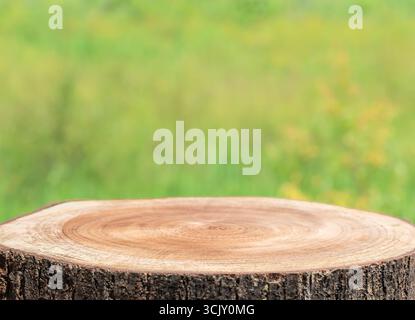 Piano da tavolo vuoto in legno naturale, podio rotondo con sfondo sfocato verde. Tronco di albero in legno esposizione podio per alimenti e prodotti sulla natura Foto Stock