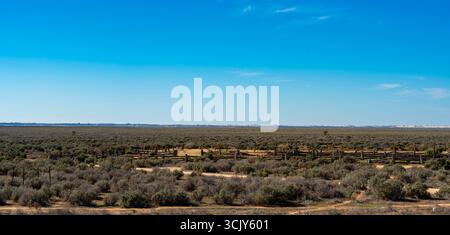Una vista panoramica sui vecchi cortili di pecore in legno del Parco Nazionale del Lago Mungo e la bassa macchia di Mulga che nasconde l'asciutto lago antico Foto Stock