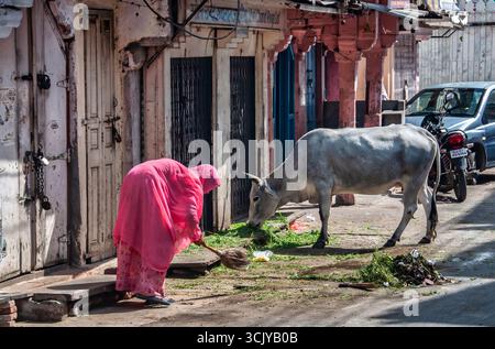 Donna che spazza la strada. Scene nella città vecchia di Udaipur Streets, Rajasthan, India. Settembre 2015 Foto Stock