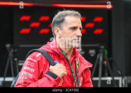 GP d'Olanda F1 2025 il 31 2025 agosto a Zandvoort, olandese - Formula 1 Marc Gene Ferrari Foto Stock
