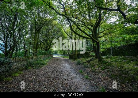 Strade di campagna di Rivington Lancashire Regno Unito, ideale per passeggiate ed equitazione, attività di svago e per i viaggiatori Foto Stock