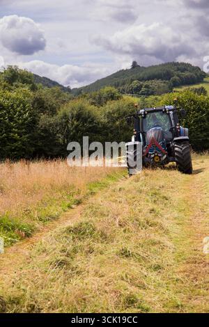 Appaltatore con un trattore Valtra e una falciatrice Claas disco che taglia erba per il fieno in un'azienda agricola biologica. Powys, Galles. Luglio. Foto Stock