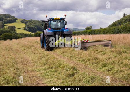 Appaltatore con un trattore Valtra e una falciatrice Claas disco che taglia erba per il fieno in un'azienda agricola biologica. Powys, Galles. Luglio. Foto Stock