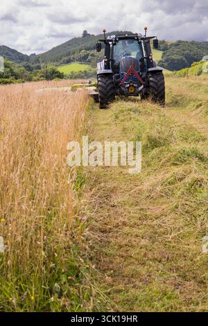 Appaltatore con un trattore Valtra e una falciatrice Claas disco che taglia erba per il fieno in un'azienda agricola biologica. Powys, Galles. Luglio. Foto Stock