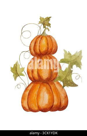 Zucche disegnate a mano in corso e illustrazione ad acquerello Foto Stock