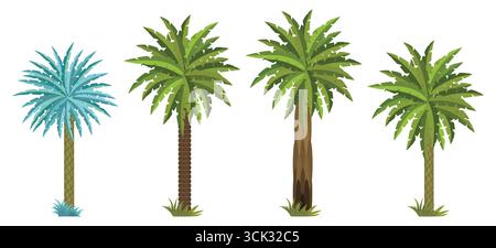 Collezione di illustrazioni di palme tropicali con diversi stili di tronco e foglie isolati su sfondo bianco, piante esotiche della giungla estiva. Illustrazione Vettoriale