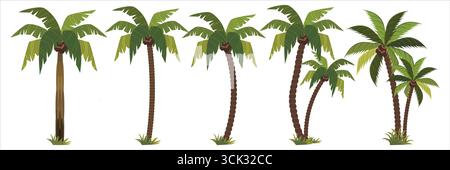 Illustrazioni di palme stilizzate con fronde verdeggianti e varie texture del tronco, perfette per i design tropicali. Illustrazione Vettoriale