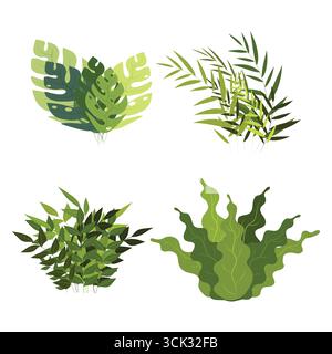 Collezione di quattro illustrazioni di piante verdi tropicali con diverse forme di foglie e stili di fogliame, isolate su sfondo bianco per l'uso nel design. Illustrazione Vettoriale