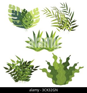 Illustrazione botanica di diverse piante verdi Una collezione di foglie tropicali e piante verdeggianti per disegni ispirati alla natura. Illustrazione Vettoriale
