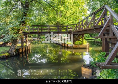 Holzbrücke im Freilandmuseum beim Spreewalddorf Lehde, Lübbenau / Spreewald, Brandeburgo, Deutschland | Ponte in legno del museo all'aperto nel vi Foto Stock