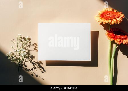 Carta bianca bianca bianca con fiori di gerbera arancio e ombre su sfondo beige. Vista dall'alto, posizione piatta, mockup. Foto Stock