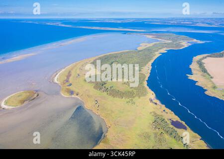 Vista dell'isola di Bock. Parco nazionale della laguna della Pomerania occidentale, Meclemburgo-Pomerania occidentale, Germania Foto Stock