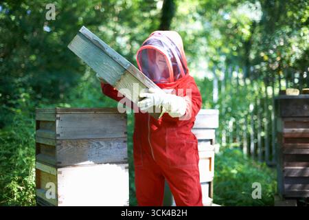 L'apicoltore solleva il coperchio di un alveare Foto Stock