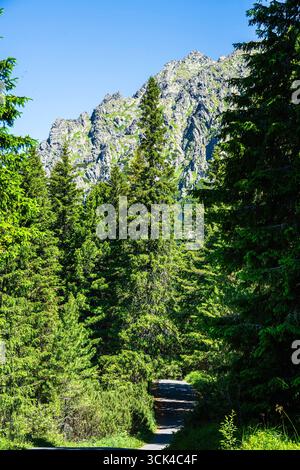 Popradske Pleso, Slovacchia Foto Stock