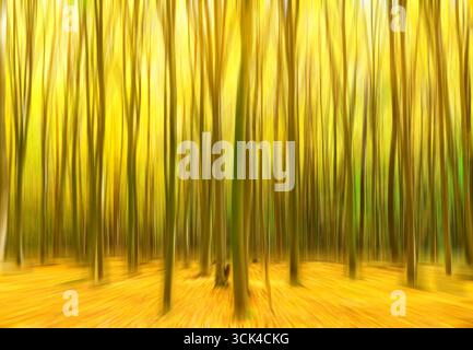 Sentiero che conduce attraverso la foresta autunnale. Foto Stock