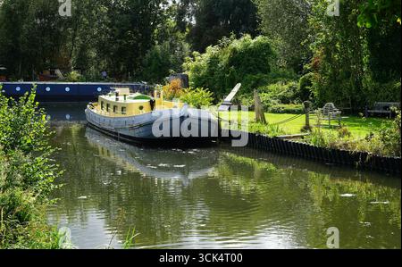 Dutch Barge ormeggiato vicino Bishop's Stortford Foto Stock