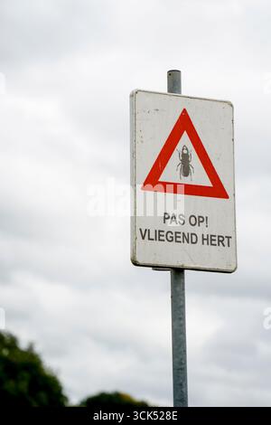 Registratevi in olandese, dicendo attenzione agli scarabei Stag, per la protezione, Limburgo, Paesi Bassi. Foto Stock