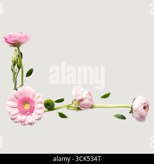 Un concetto unico di peonie e margherite isolate su un semplice sfondo, molto adatte ad essere utilizzate in progetti prevalentemente da giardino. Foto Stock