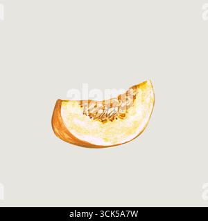 Un acquerello raffigurante una fetta di melone, che ne mostra la consistenza e i semi. Foto Stock