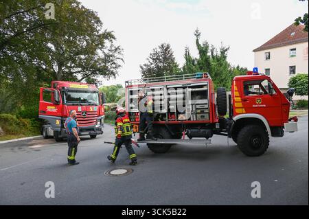 Leisnig - LKW bleibt in enger Kurve auf Johannistalstraße in Leisnig hängen: Feuerwehr zieht LKW aus der Patsche 05.09.2025 gegen 14 Uhr Leipzig, Johannistalstraße/Jahnstraße Wegen der Sperrung der Muldebrücke bei Fischendorf führt der Umleitungsverkehr derzeit auch für Lastwagen durch die Leisniger Innenstadt über die steile Johannistalstraße. AM Donnerstagmittag ist dort gegen 14 Uhr ein ausländischer LKW-Fahrer mit einem Containeraufleger in Schwierigkeiten geraten. Beim Rückwärtsrangieren in einer engen Kurve kam der LKW von der Fahrbahn ab, überfuhr einen Bordstein und blieb im Gebüsch hä Foto Stock