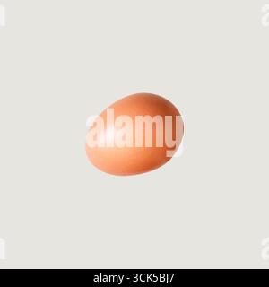 Un unico uovo marrone su uno sfondo liscio, evidenziandone la superficie liscia e il colore naturale. Foto Stock