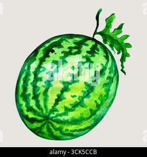 Un acquerello raffigurante un anguria, che mostra la sua pelle verde vivace e le sue caratteristiche strisce. Foto Stock