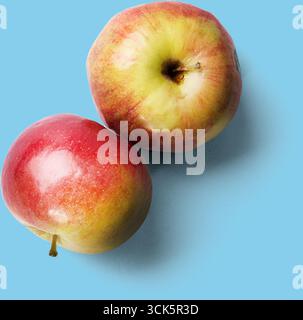 Due mele con una superficie lucida, con sfumature rosse e gialle, poste su uno sfondo chiaro. Foto Stock