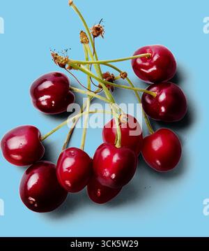 Un gruppo di ciliegie rosse mature con gambi, che mostrano il loro aspetto lucido e i colori vivaci. Foto Stock