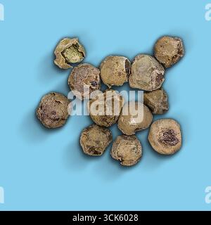 Raccolta di semi o frutti piccoli, rotondi, secchi, potenzialmente utilizzati per scopi culinari o medicinali. Foto Stock