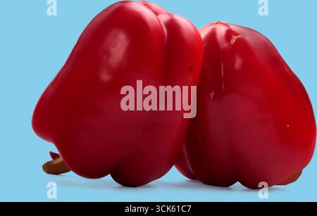 Un paio di vivaci peperoni rossi, che mostrano la loro consistenza lucida e la forma unica, ideali per l'uso culinario. Foto Stock
