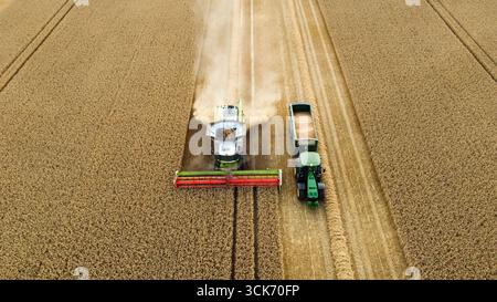 Vista aerea della mietitrebbiatrice e del trattore per la raccolta del grano Foto Stock