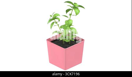 Una piccola pianta verde che cresce in una pentola rosa piena di terreno, che rappresenta il giardinaggio interno e la cura delle piante. Foto Stock