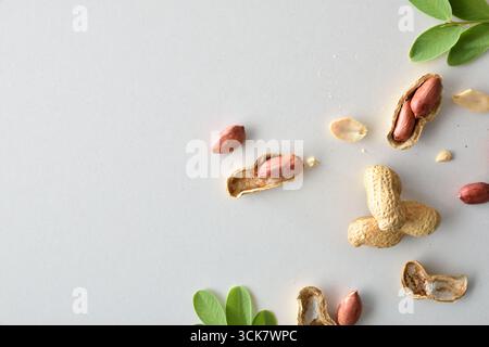 Sfondo con dettagli di arachidi con buccia e aperto mostrando i semi su un tavolo bianco con foglie. Vista dall'alto. Foto Stock
