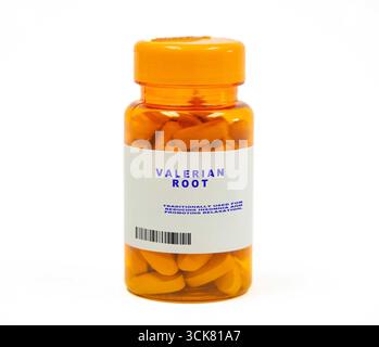 Radice di Valeriana tradizionalmente utilizzata per ridurre l'insonnia e promuovere il rilassamento. Foto Stock