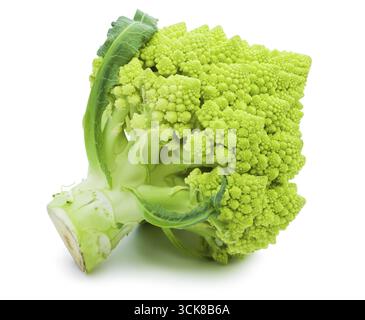 Verde Broccolo romanesco isolati su sfondo bianco Foto Stock