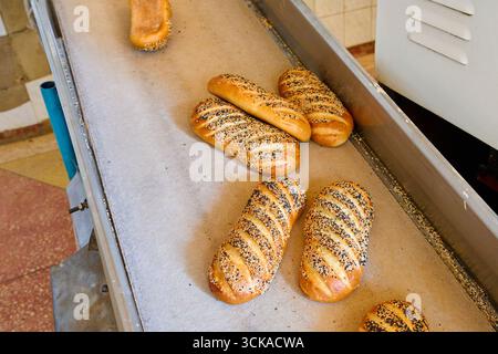 I pani bianchi a bacchetta appena sfornati vengono raffreddati in una fabbrica di pane in un ambiente di produzione affollato Foto Stock