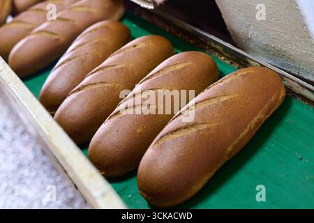 Pani bianchi di Baton appena sfornati e rinfrescati in una fabbrica di pane affollata nelle prime ore del mattino Foto Stock