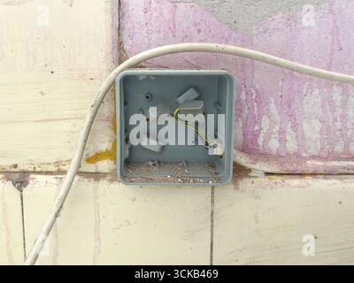 Cavi elettrici esposti che fuoriescono da una scatola per prese a muro, concetto di costruzione, ristrutturazione e installazione elettrica. Foto Stock