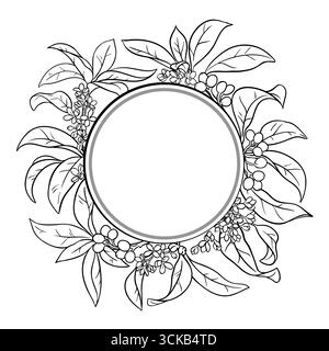 Profilo diramazione Osmanthus telaio rotondo. Illustrazione Vettoriale