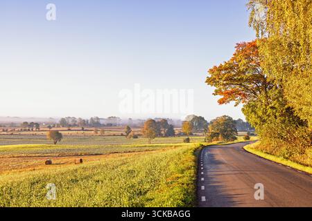 Strada di campagna in un paesaggio rurale dai colori autunnali Foto Stock