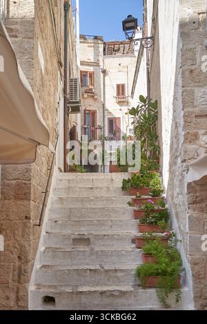Pittoresca scalinata in pietra decorata con piante in vaso in uno stretto vicolo di una storica città italiana sotto un cielo limpido. Foto Stock