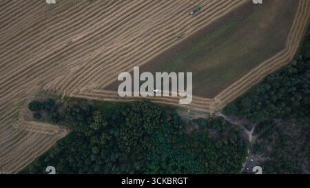 Immagine aerea di un campo rurale vicino a Nowy Lubiel, Polonia, che mostra un trattore e un'imballatrice per fieno che lavorano tra file di fieno ordinate, delimitate da una fitta foresta. Foto Stock