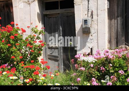 Vecchia casa abbandonata del villaggio incorniciata da fiori colorati in fiore alla luce del sole Foto Stock